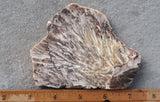 Snowflake Laguna Slab 414