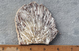 Snowflake Laguna Slab 416