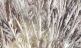 Snowflake Laguna Slab 416