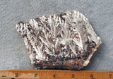 Snowflake Laguna Slab 421