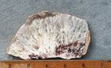 Snowflake Laguna Slab 417