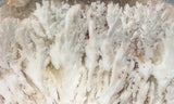 Snowflake Laguna Slab 417