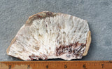 Snowflake Laguna Slab 417