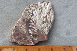Snowflake Laguna Slab 423