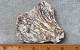 Snowflake Laguna Slab 418