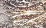 Snowflake Laguna Slab 418