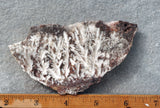 Snowflake Laguna Slab 422