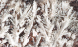 Snowflake Laguna Slab 422
