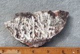Snowflake Laguna Slab 422