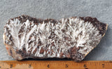 Snowflake Laguna Slab 410