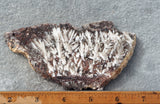 Snowflake Laguna Slab 419