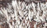 Snowflake Laguna Slab 419