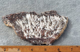 Snowflake Laguna Slab 419
