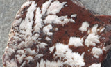Snowflake Laguna Slab 439