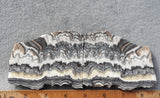 Rock Slab Sets S158