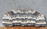 Rock Slab Sets S158