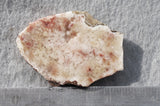 Feather Ridge Plume Agate Rock Slab 26