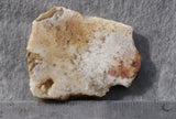 Feather Ridge Plume Agate Rock Slab 23