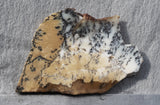 Australian Dendritic Opal Rock Slab 47