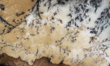 Australian Dendritic Opal Rock Slab 47