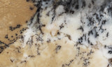 Australian Dendritic Opal Rock Slab 47