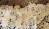 Australian Dendritic Opal Rock Slab 47