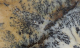 Australian Dendritic Opal Rock Slab 56
