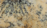 Australian Dendritic Opal Rock Slab 54