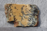 Australian Dendritic Opal Rock Slab 51