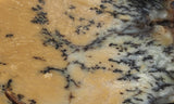 Australian Dendritic Opal Rock Slab 51