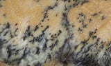 Australian Dendritic Opal Rock Slab 51