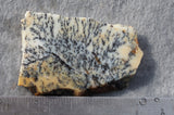 Australian Dendritic Opal Rock Slab 60