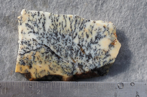 Australian Dendritic Opal Rock Slab 60 – DD Rocks