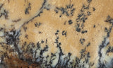 Australian Dendritic Opal Rock Slab 48