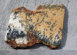 Australian Dendritic Opal Rock Slab 48