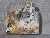 Australian Dendritic Opal Rock Slab 41