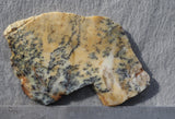 Australian Dendritic Opal Rock Slab 58