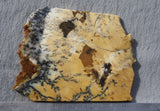 Australian Dendritic Opal Rock Slab 55