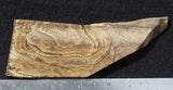 Bargain Bin E Slab 197