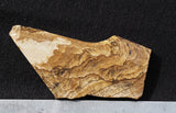 African Queen Picture Jasper Rock Slab 284
