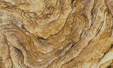 African Queen Picture Jasper Rock Slab 285