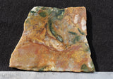 Fancy Jasper Slab 38