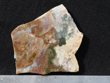 Fancy Jasper Slab 47