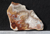 Laguna Lace Agate Rock Slab 490