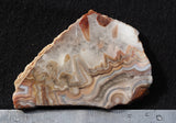 Laguna Lace Agate Rock Slab 483