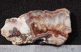 Bargain Bin E Slab 171