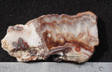 Bargain Bin E Slab 171