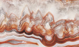 Laguna Lace Agate Rock Slab 426