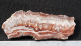 Laguna Lace Agate Rock Slab 426