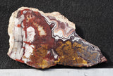 Mexican Crazy Lace Agate Rock Slab 403